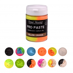 SPRO Trout Master PRO Paste 60g Forellenteig 14 Farben 5 Aromen Forellenpaste