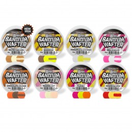 Sonubaits Band um Wafters...
