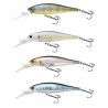 Lucky Craft Pointer 65 DD Japan Wobbler Köder Barsch Raubfische Hecht Angeln