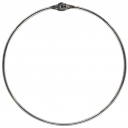 FTM Fischring DK Forelle...